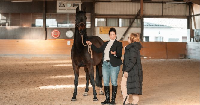 Challenge-by-Horse Challenge by Horse – pferdegestütztes Führungscoaching mit Sonja Förster